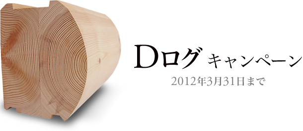 Dログキャンペーン　通常キット価格15%OFF