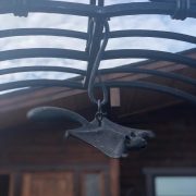 モモンガがお出迎え