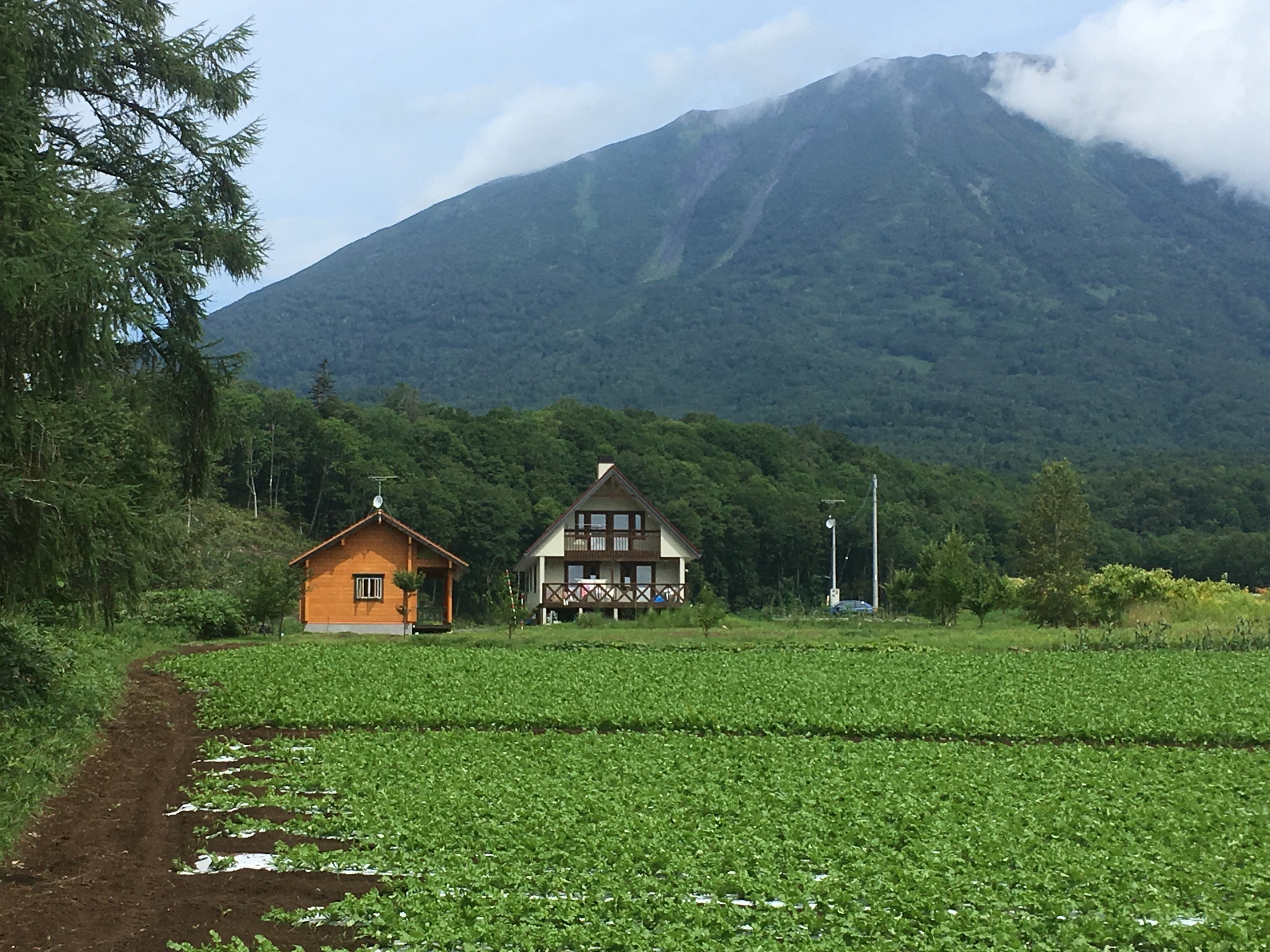 ニセコ羊蹄山南麓 滞在型貸し別荘 はなひまわり 北海道虻田郡真狩村