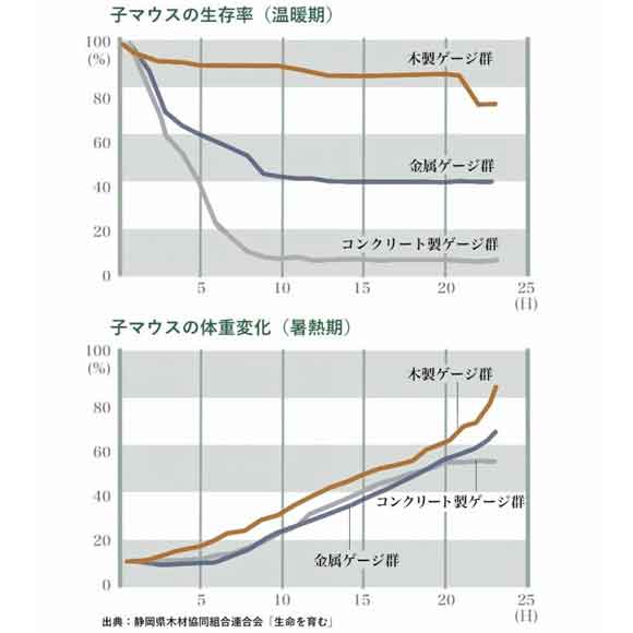 木のはなし 07　コンクリート？ 金属？ それとも木？