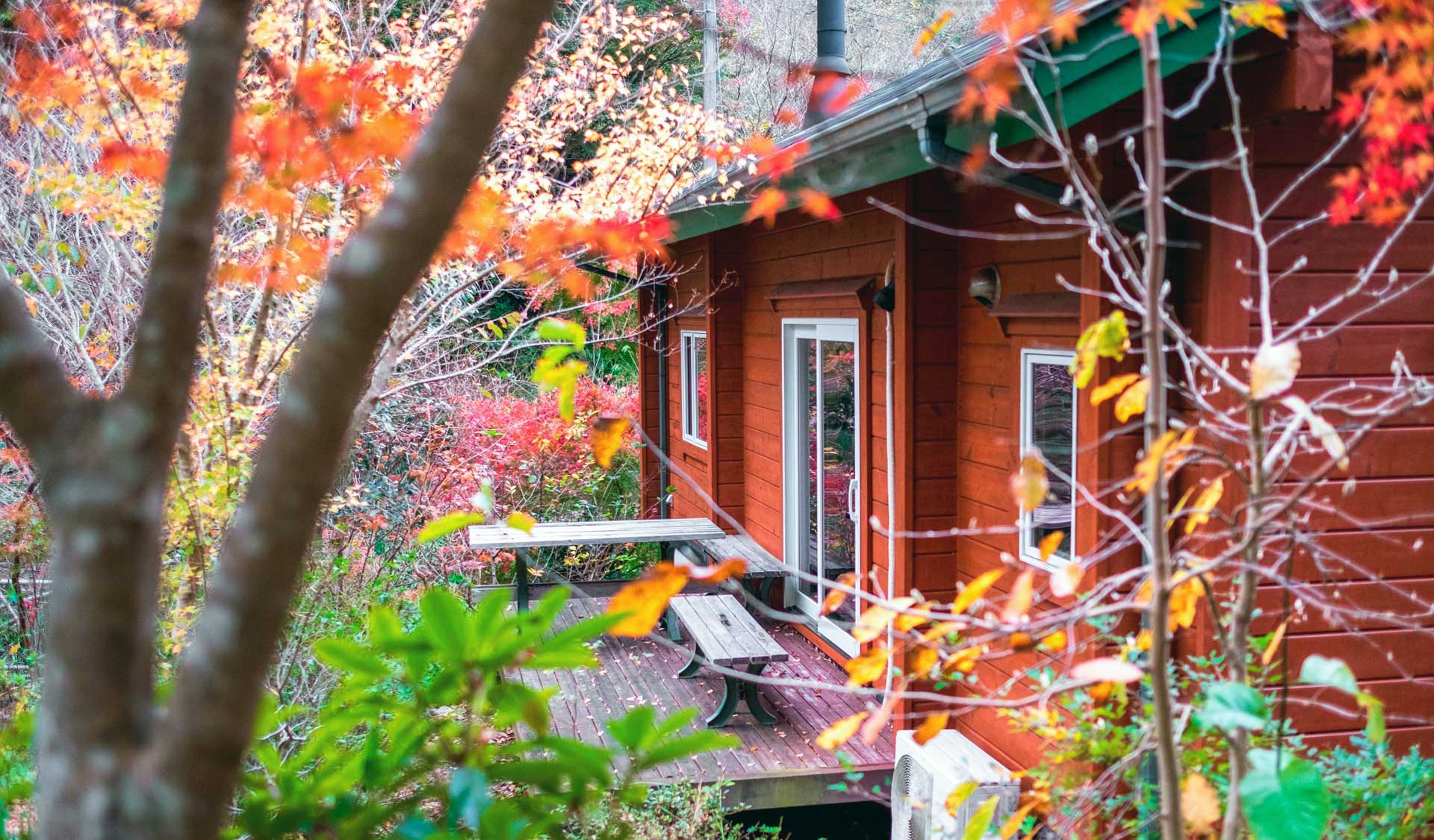 山奥の小さな平屋で見つけた、夫婦ふたりの豊かな暮らし